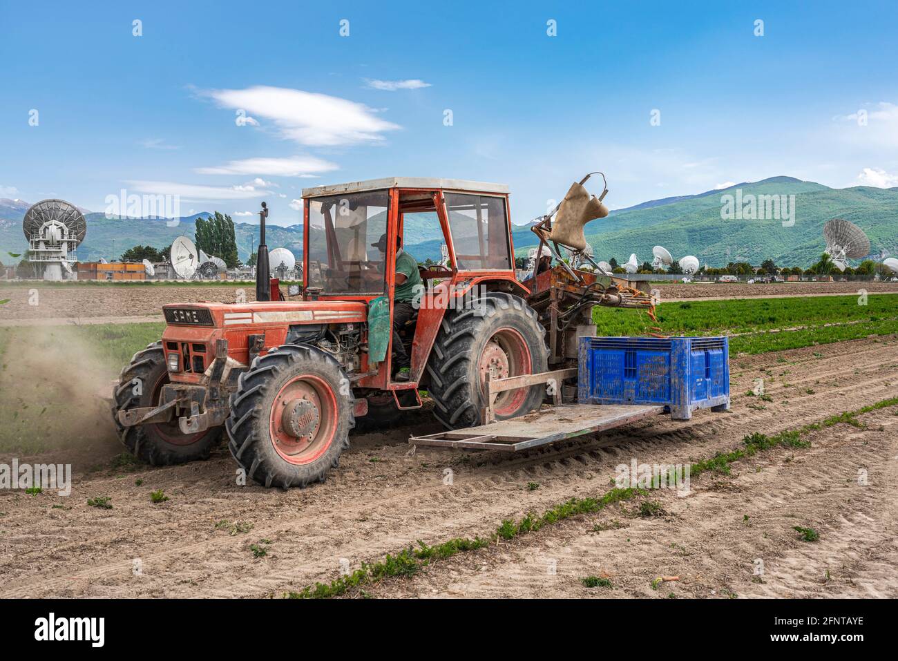 Récolte mécanisée, avec le tracteur, de carottes dans la plaine de Fucino. Fucino, Abruzzes, Italie, Europe Banque D'Images