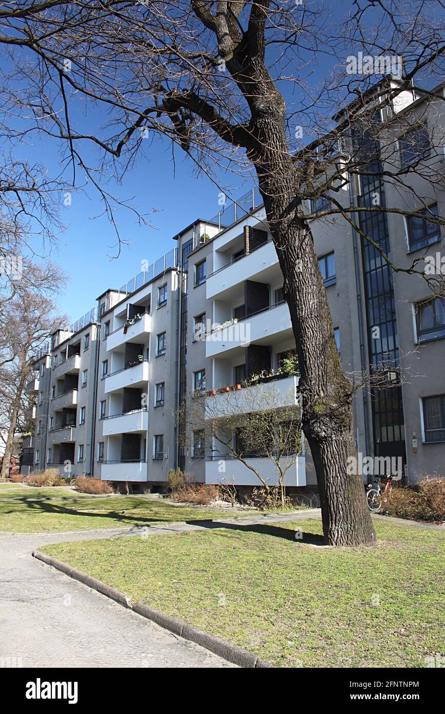 Logement conçu par l'architecte Bauhaus Walter Gropius sur le domaine Siemensstadt dans la banlieue ouest de Berlin Banque D'Images