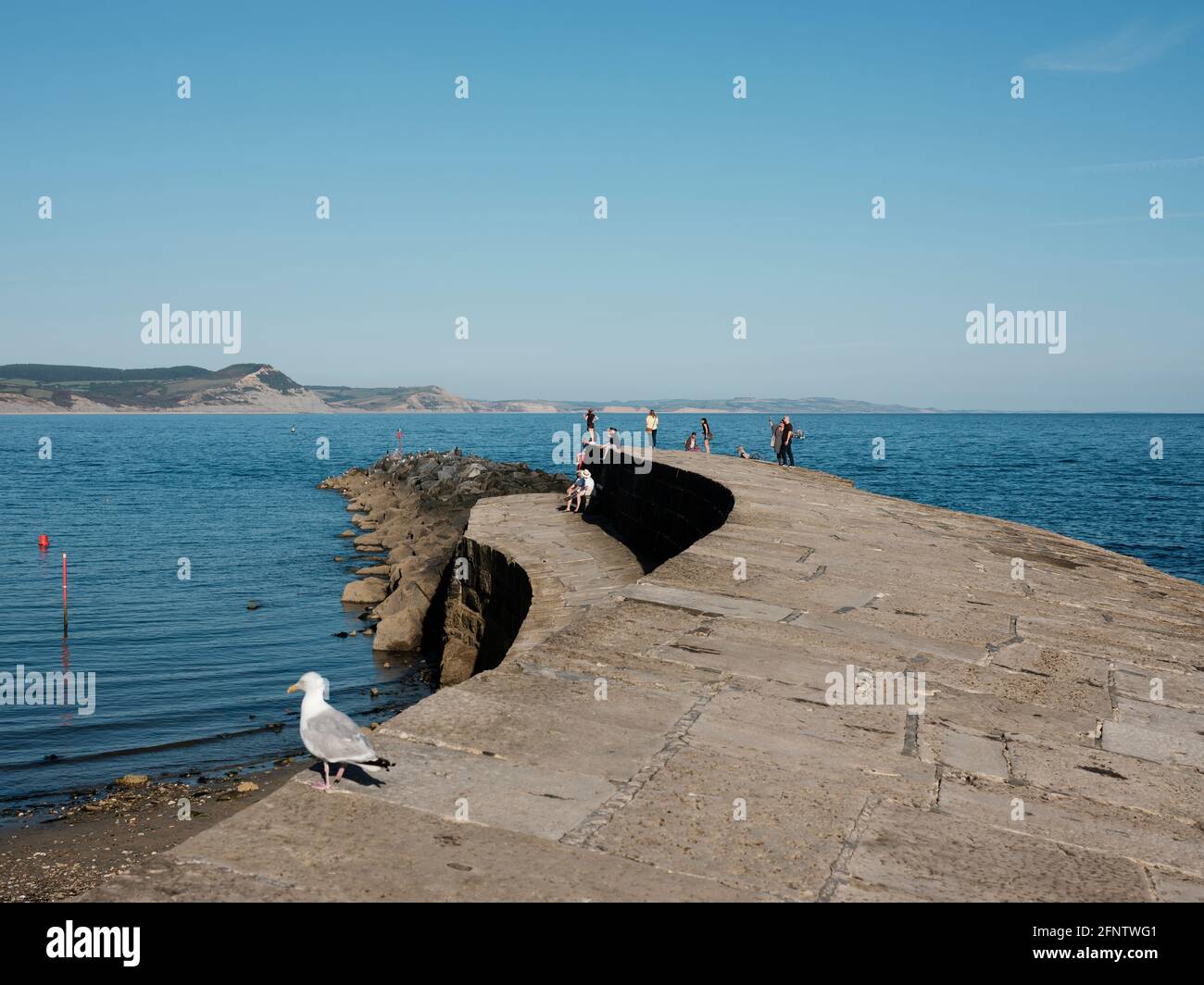 Vue de la Cobb, rendue plus célèbre par le roman de Jane Austen 'persuasion' et de John Fowles 'la femme du lieutenant français', Lyme Regis, Dorset, United K Banque D'Images