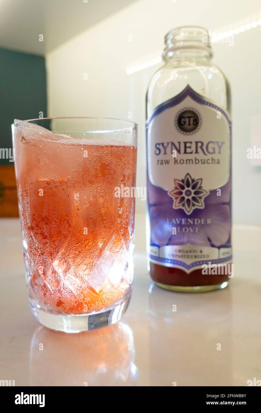 Le kombucha cru Synergy est et le thé fermenté asiatique Banque D'Images