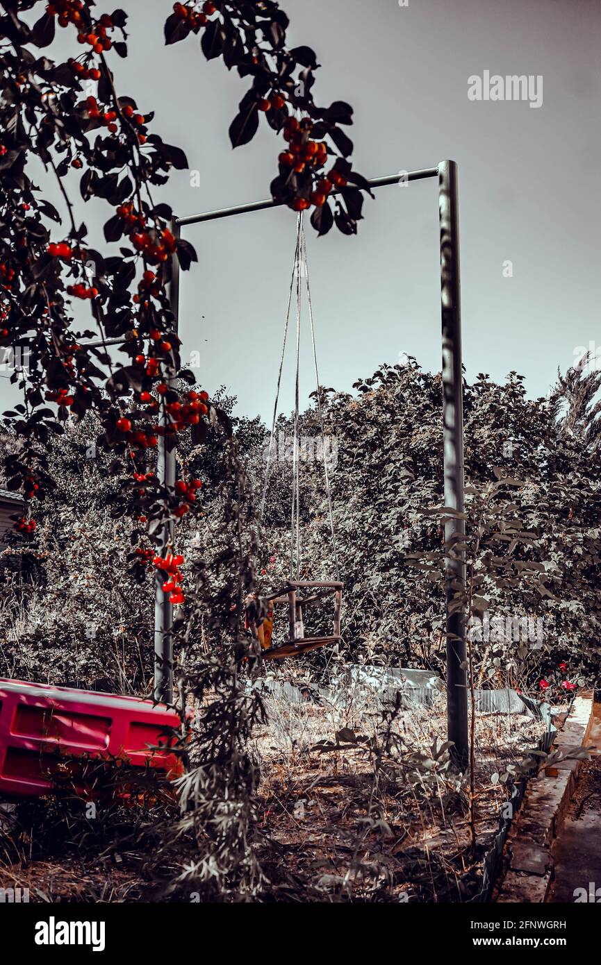 Une balançoire surcultivée et abandonnée au milieu de la forêt. Beaucoup d'herbe. La nature prend le relais. Sentiments étranges. Banque D'Images