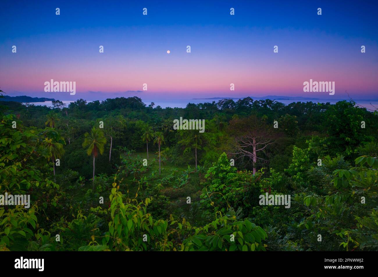 Paysage de Panama avec forêt tropicale, lune, et ciel coloré à l'aube à la réserve naturelle de Punta Patino, côte du Pacifique, province de Darien, République du Panama. Banque D'Images