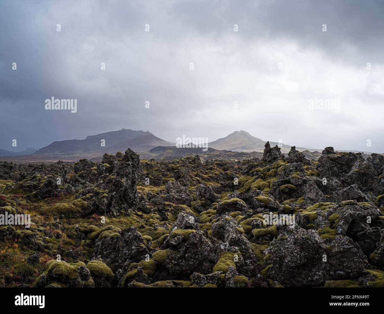 Paysage volcanique, Westfjords , Islande Banque D'Images