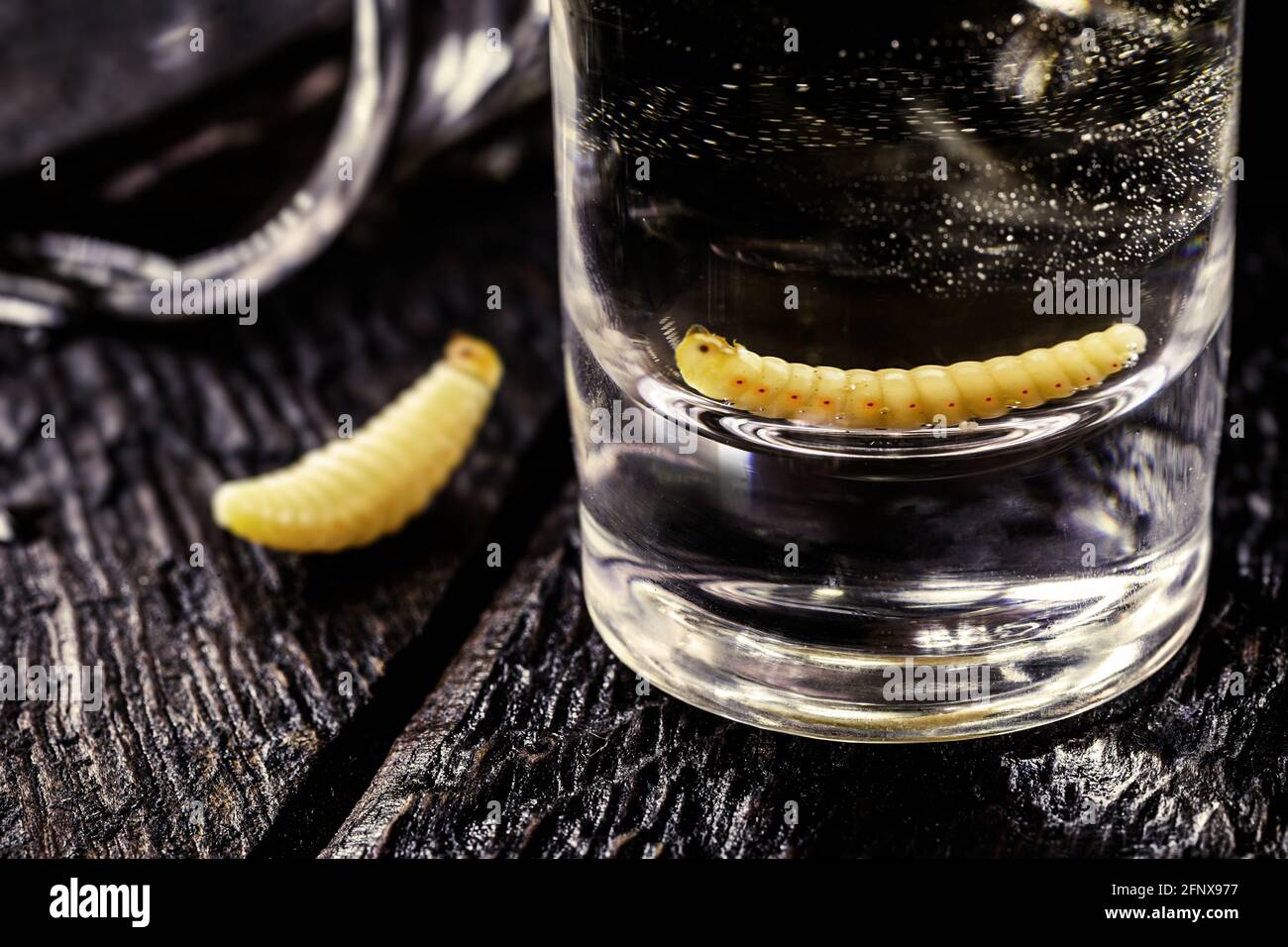 Plusieurs verres avec mezcal (ou mescal) est communément appelé 'tequila avec larva', une boisson mexicaine exotique, originaire de l'état d'Oaxaca Banque D'Images