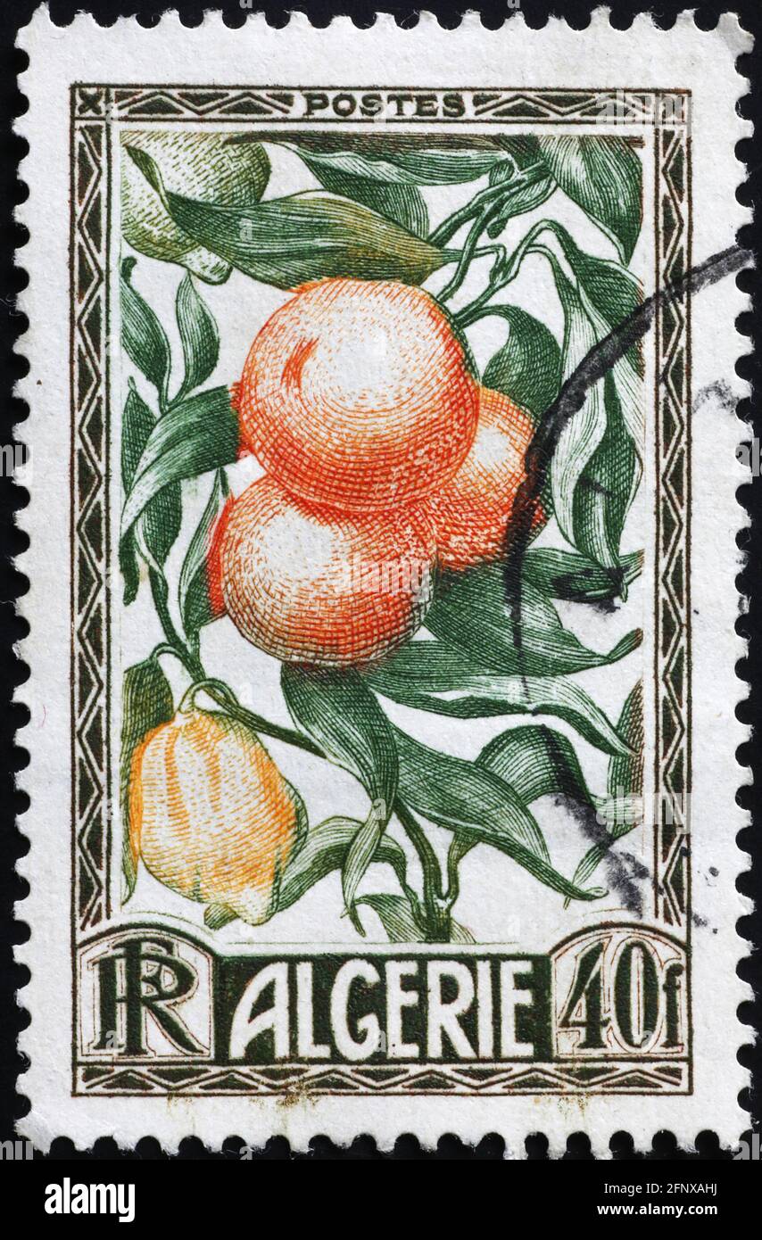 Agrumes sur timbre algérien d'époque Banque D'Images