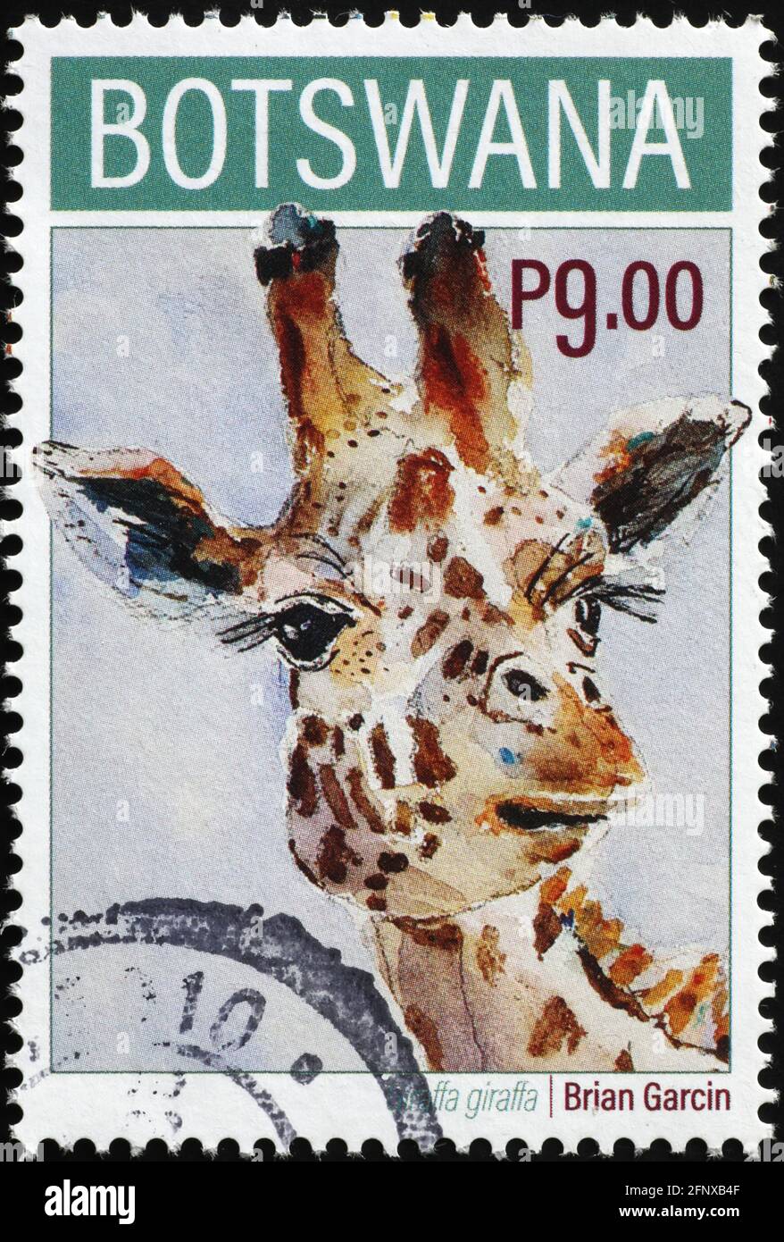 Girafe gros plan sur le timbre-poste du Botswana Banque D'Images