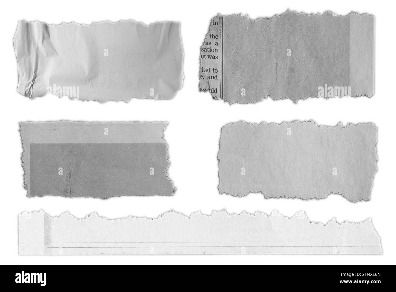 Cinq morceaux de papier déchiré sur fond uni Banque D'Images