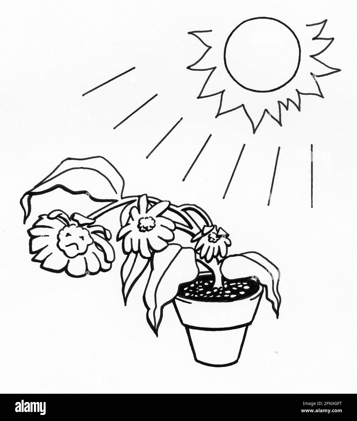 Un dessin d'un petit pot de fleurs malheureuses qui flétrissent au soleil Banque D'Images