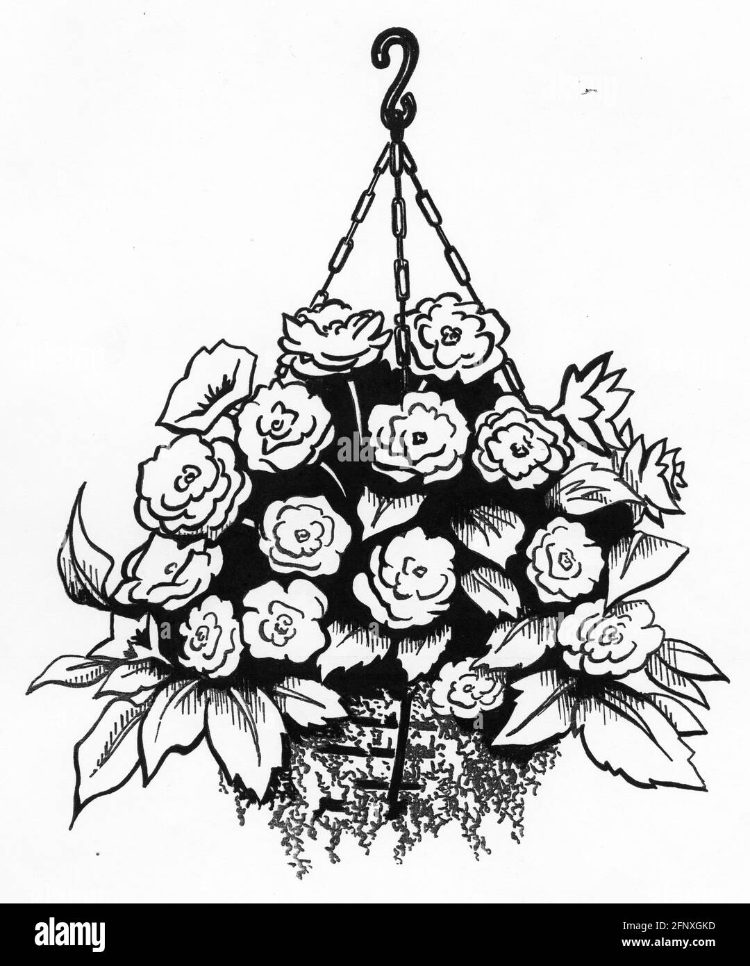 Dessin d'un panier suspendu complet avec un sphagnum mousse et les jeunes plantes qui ont été top et côté planté Banque D'Images
