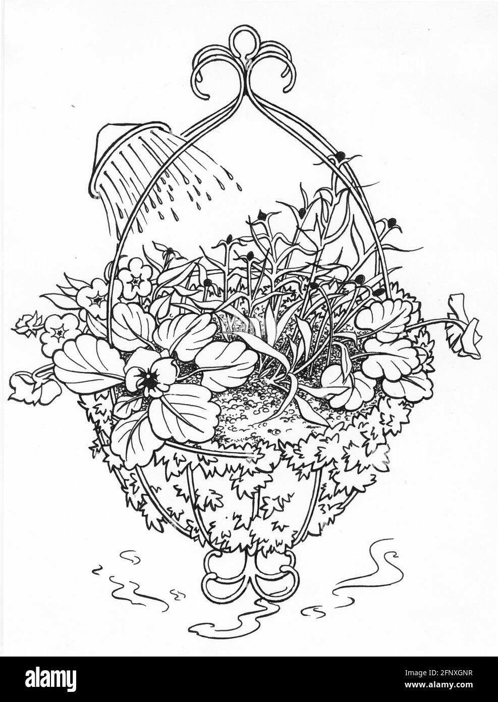 Dessin d'un panier suspendu complet avec un sphagnum doublure en mousse et plantes à fleurs Banque D'Images