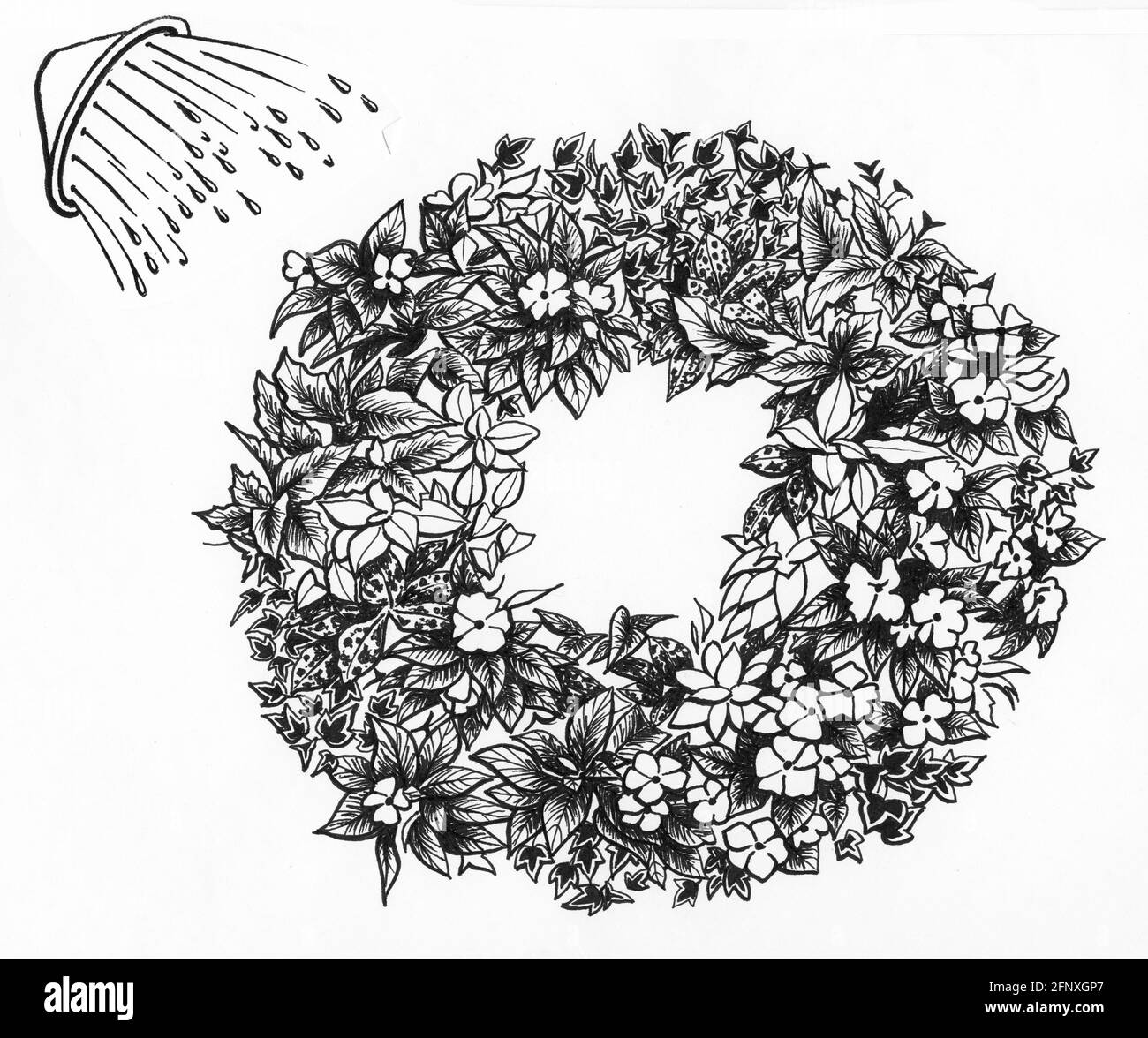 Un dessin d'une couronne vivante complétée avec un sphagnum mousse et les jeunes plantes qui ont été top et côté planté Banque D'Images