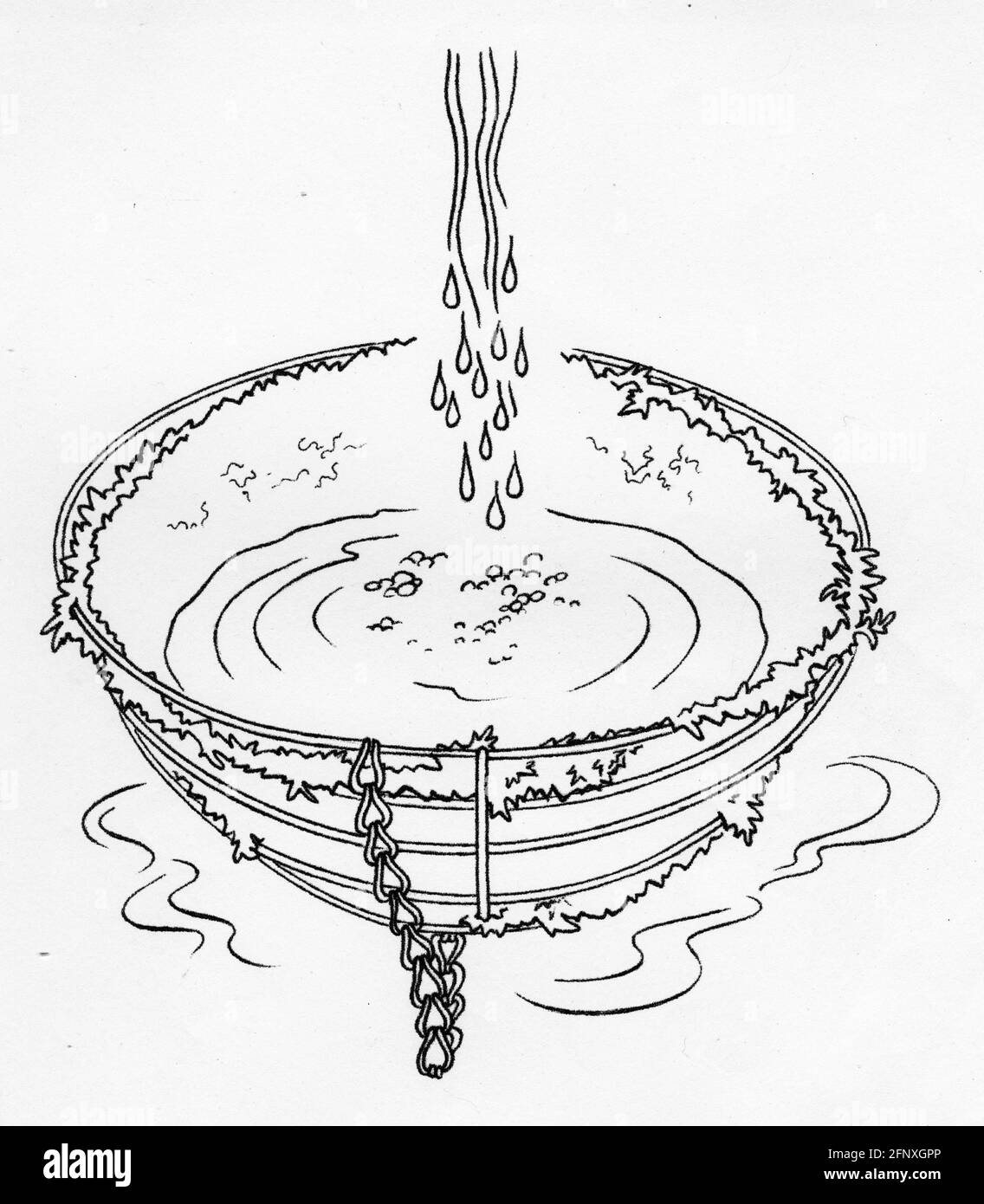 Un dessin d'eau trempant une doublure de mousse de sphagnum dans un panier suspendu. La mousse de Sphagnum peut absorber 20 fois son propre poids dans l'eau. Banque D'Images