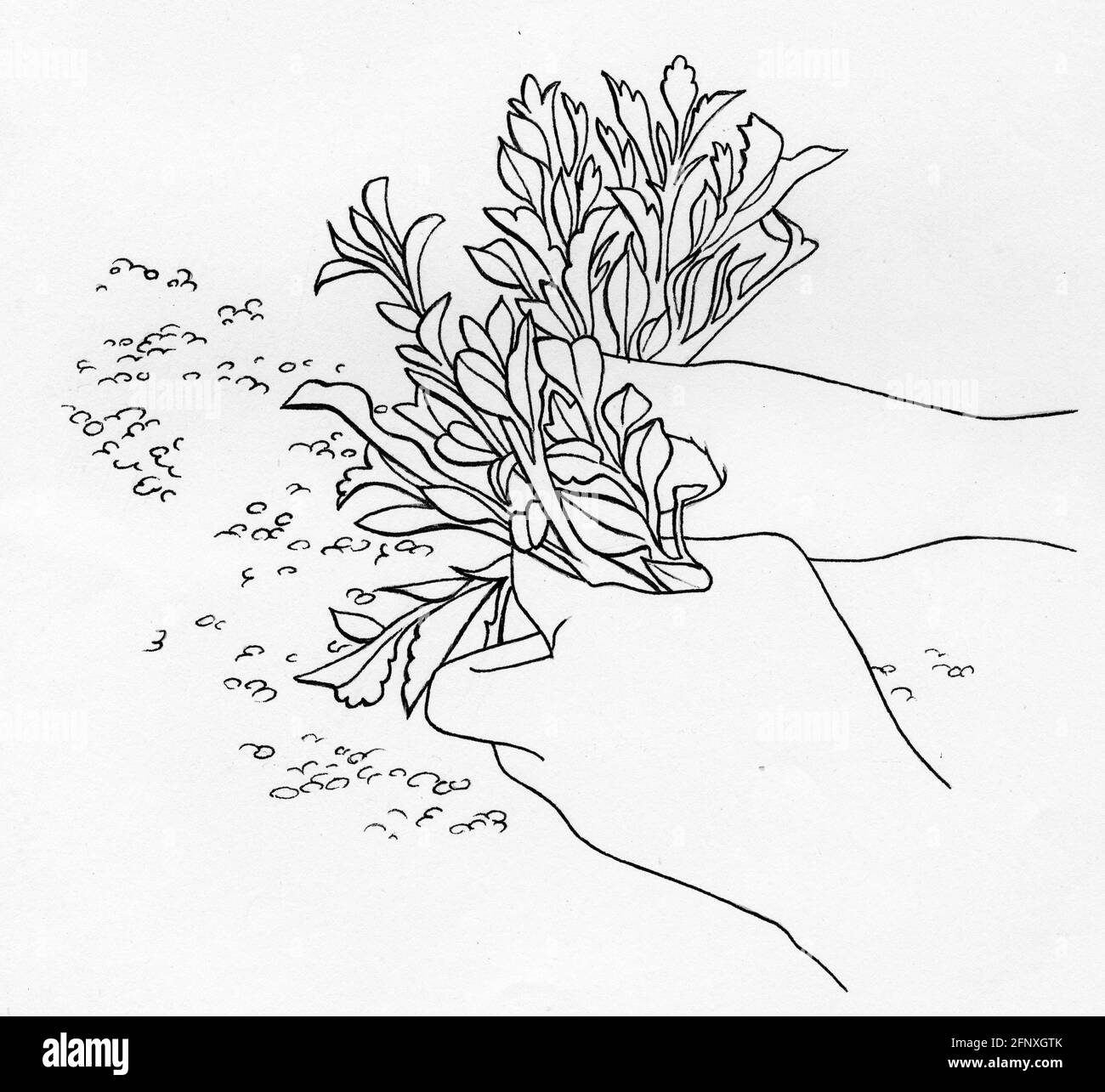 Un dessin d'une paire de mains plantant un petit plante en pot dans mélange d'enrobage Banque D'Images