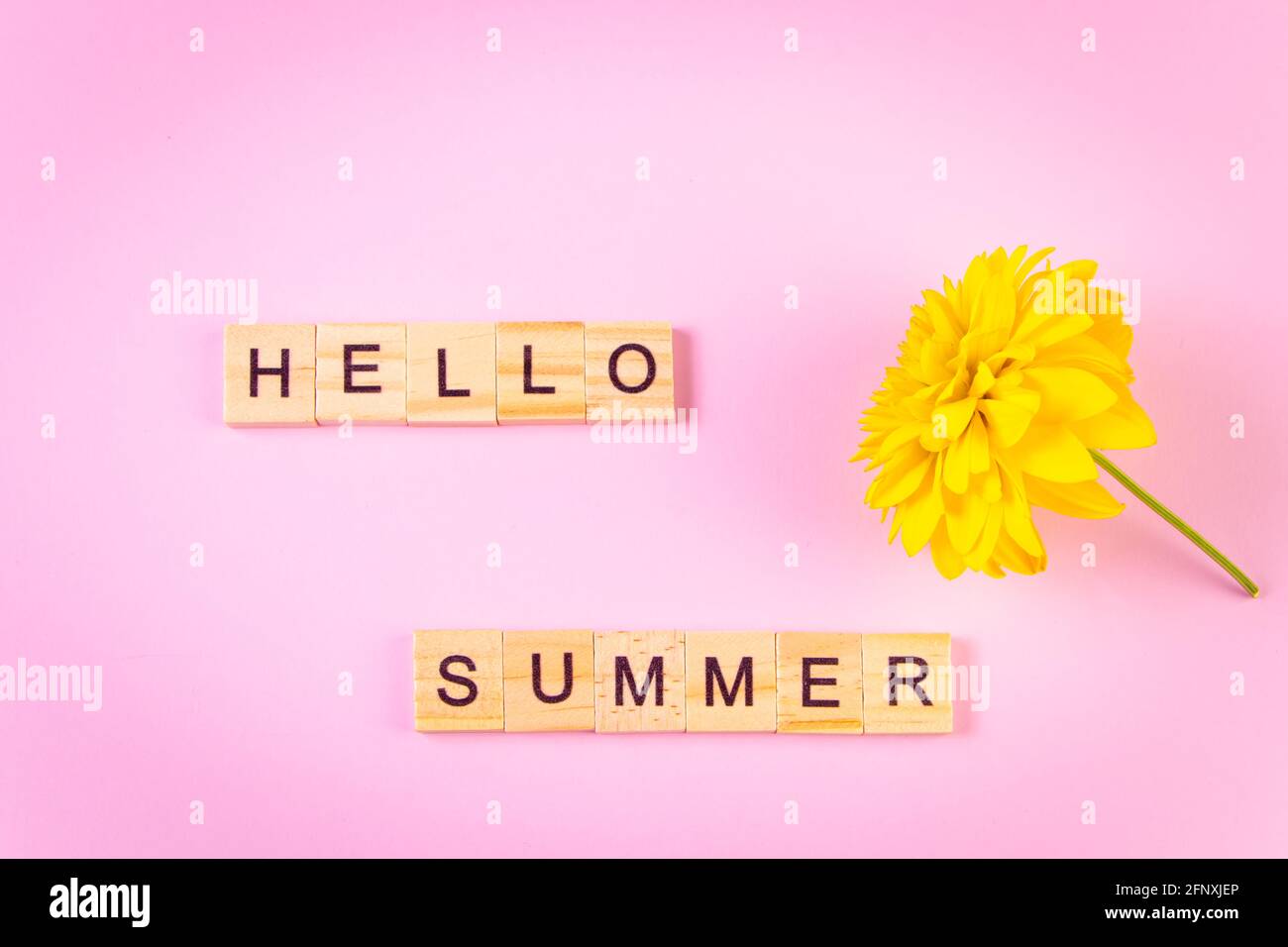 Concept Hello Summer. Fleur jaune sur fond rose. Lettrage en bois Banque D'Images