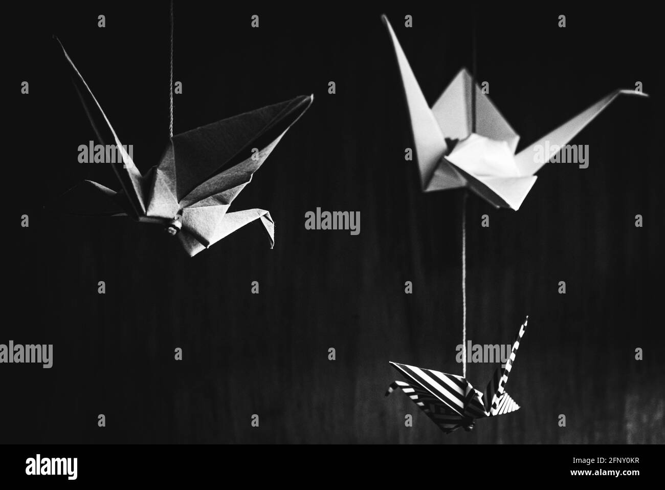 Trois cygnes d'origami suspendus du toit avec un bois arrière-plan Banque D'Images