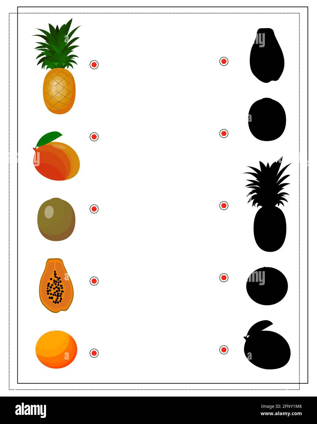 jeu de puzzle pour les enfants trouver l'ombre droite, fruit. ananas,  mangue, kiwi, papaye, pamplemousse. vecteur isolé sur fond blanc Image  Vectorielle Stock - Alamy