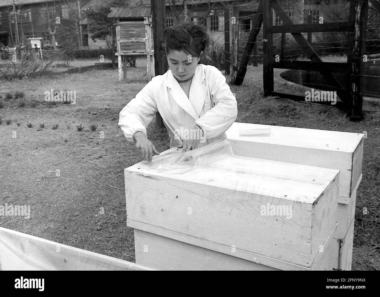 Atome, essai, mesure des retombées nucléaires, Japon, années 1950, mesure Yasuo Miyake, INFO-DROITS-SUPPLÉMENTAIRES-AUTORISATION-NON-DISPONIBLE Banque D'Images