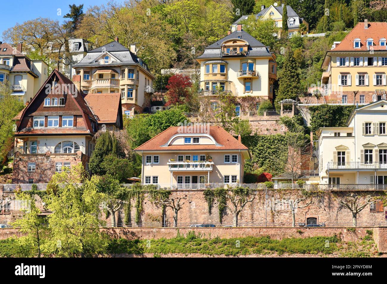 Belles vieilles villas chères à Heidelberg situé sur la colline à Neckar en Allemagne Banque D'Images