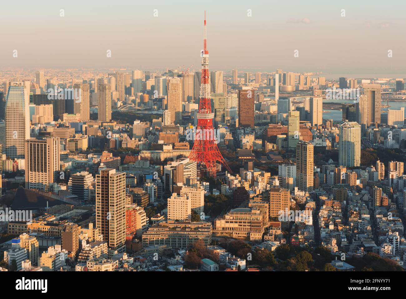 Vue sur les gratte-ciel de Tokyo au coucher du soleil avec la Tour de Tokyo. Tokyo est à la fois la capitale et la plus grande ville du Japon. Banque D'Images