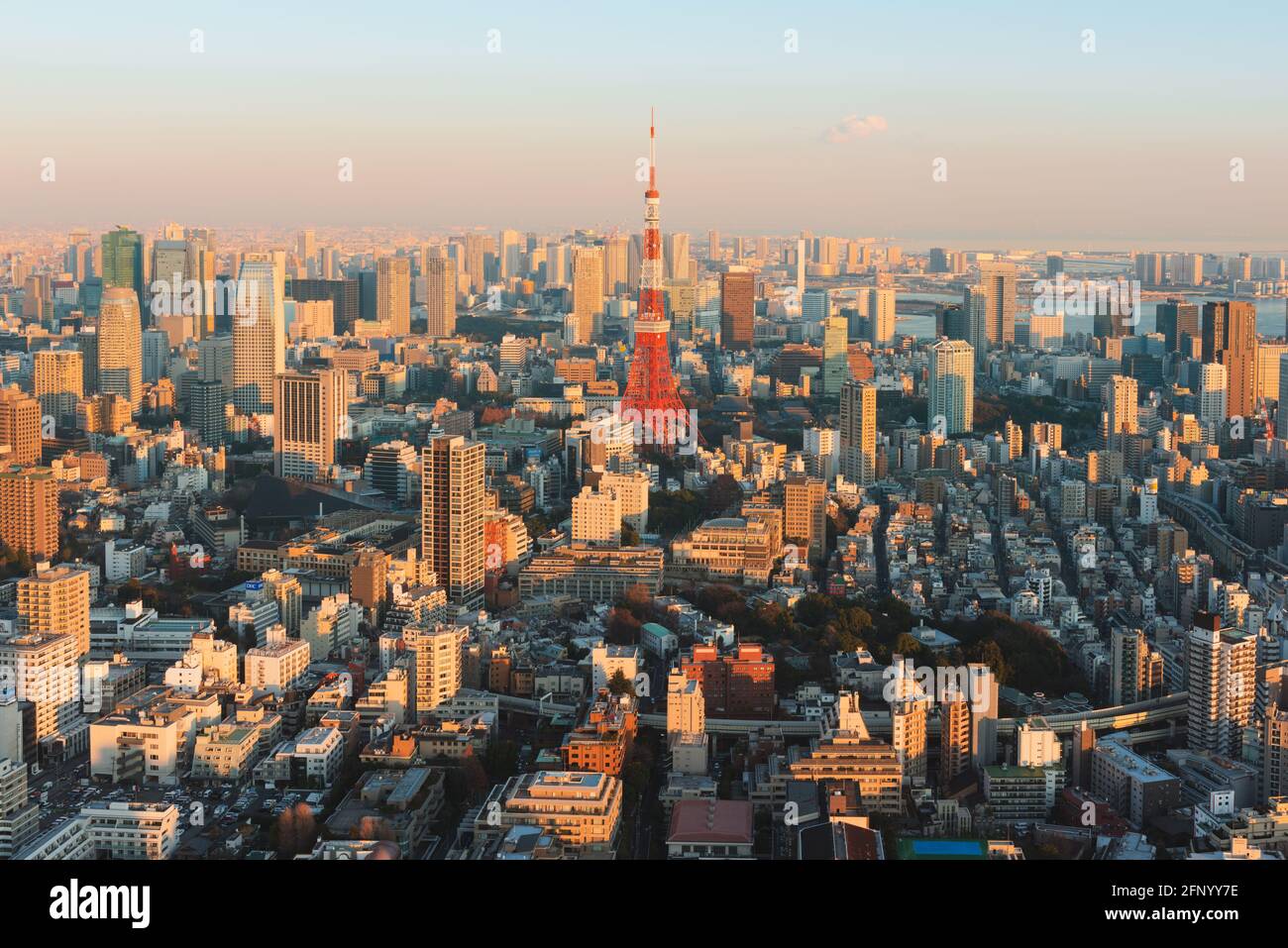Tokyo, Japon - 14 janvier 2016 : vue sur les gratte-ciel de Tokyo au coucher du soleil avec la Tour de Tokyo. Tokyo est à la fois la capitale et la plus grande ville du Japon. Banque D'Images