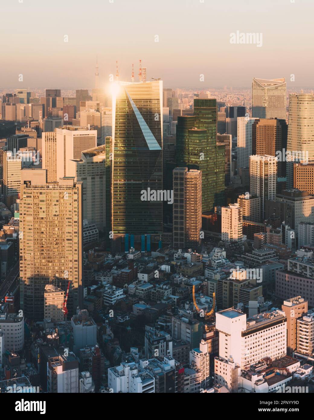 Vue sur le coucher du soleil de Tokyo Skylines.Tokyo est à la fois la capitale et la plus grande ville du Japon. Banque D'Images
