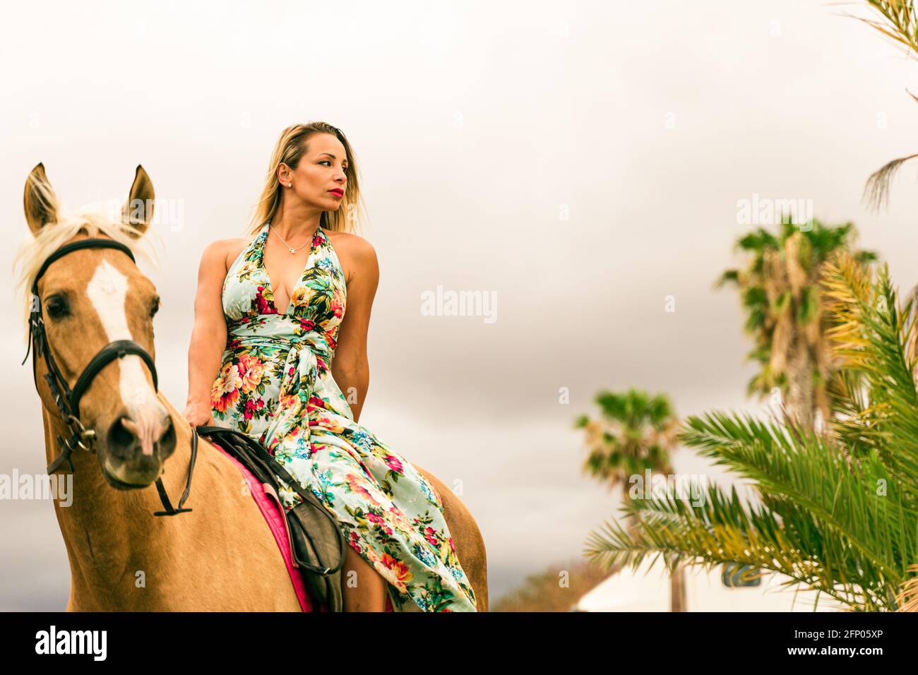 Portrait de jeune belle brune femme portant des fleurs robe cheval brun à l'été ciel nuageux jour. Banque D'Images