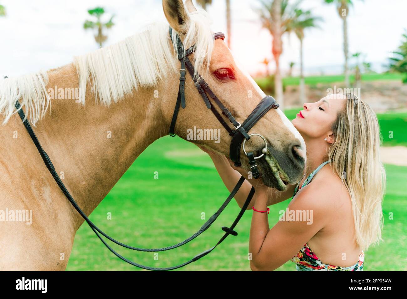 Belle femme embrassant son cheval. Concept de l'amour entre les humains et  les animaux Photo Stock - Alamy