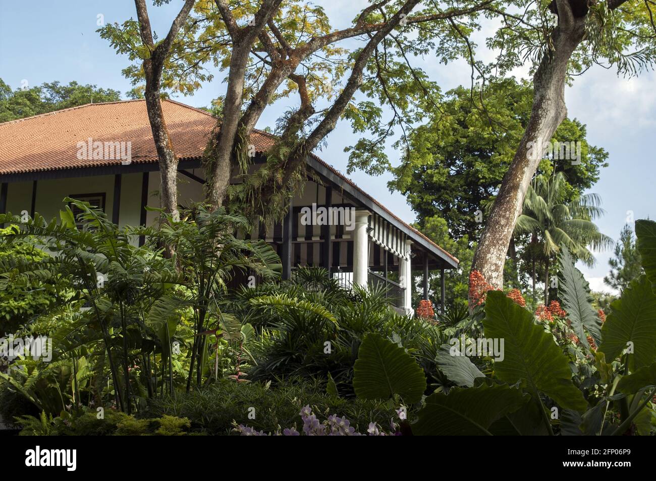 Singapour, Singapour, Asie, Asie ; jardin botanique ; Botanischer Garten; maison de style colonial dans un jardin avec une végétation exotique; Dom W stylu kolonialnym Banque D'Images