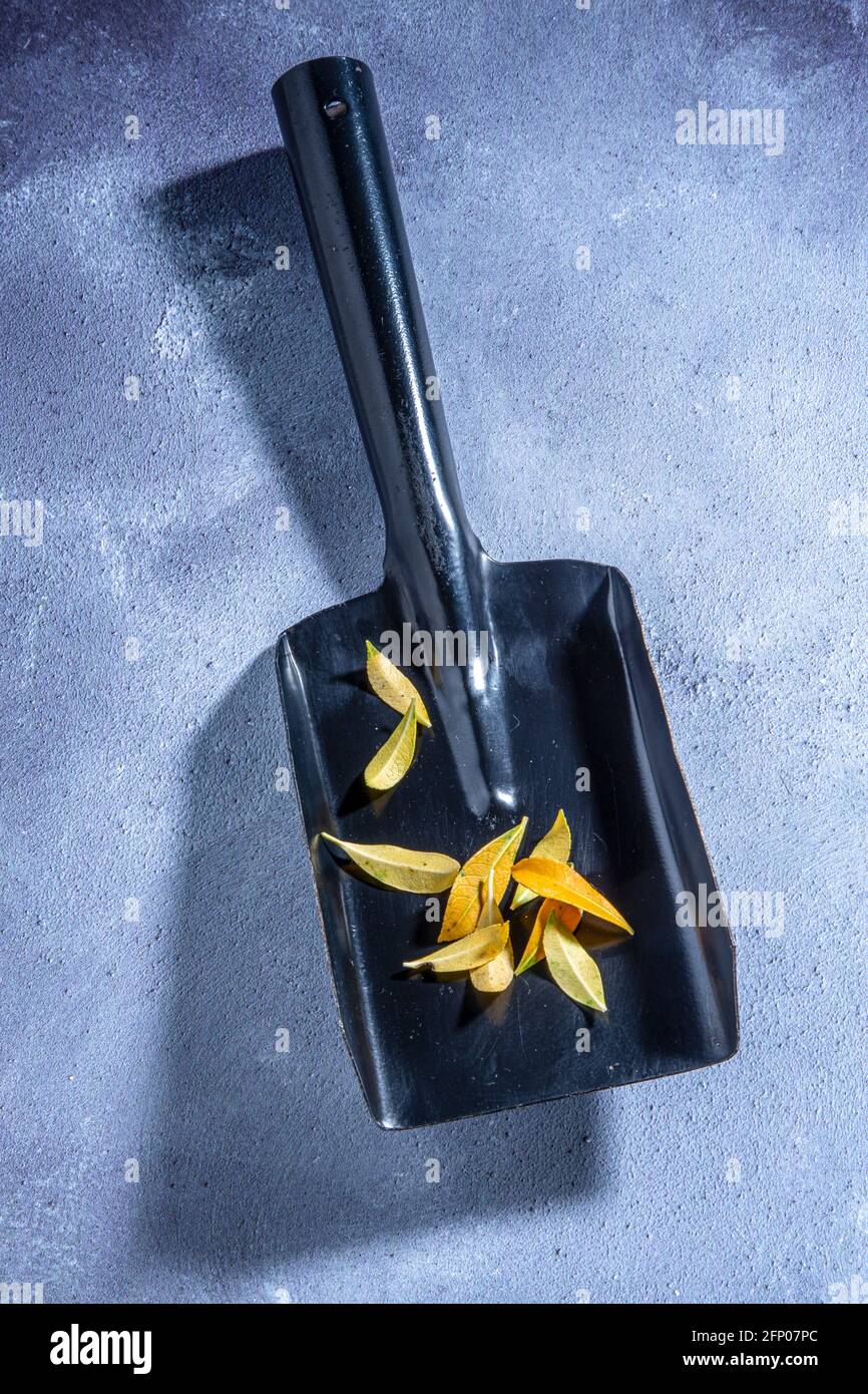 Pelle à poussière et feuilles. Banque D'Images