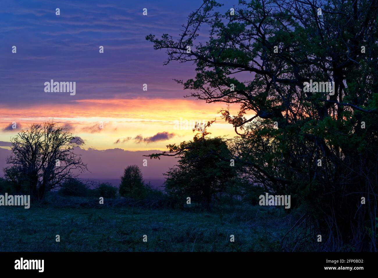 Coucher de soleil sur Burrington Ham, Mendip Hills, Somerset Banque D'Images