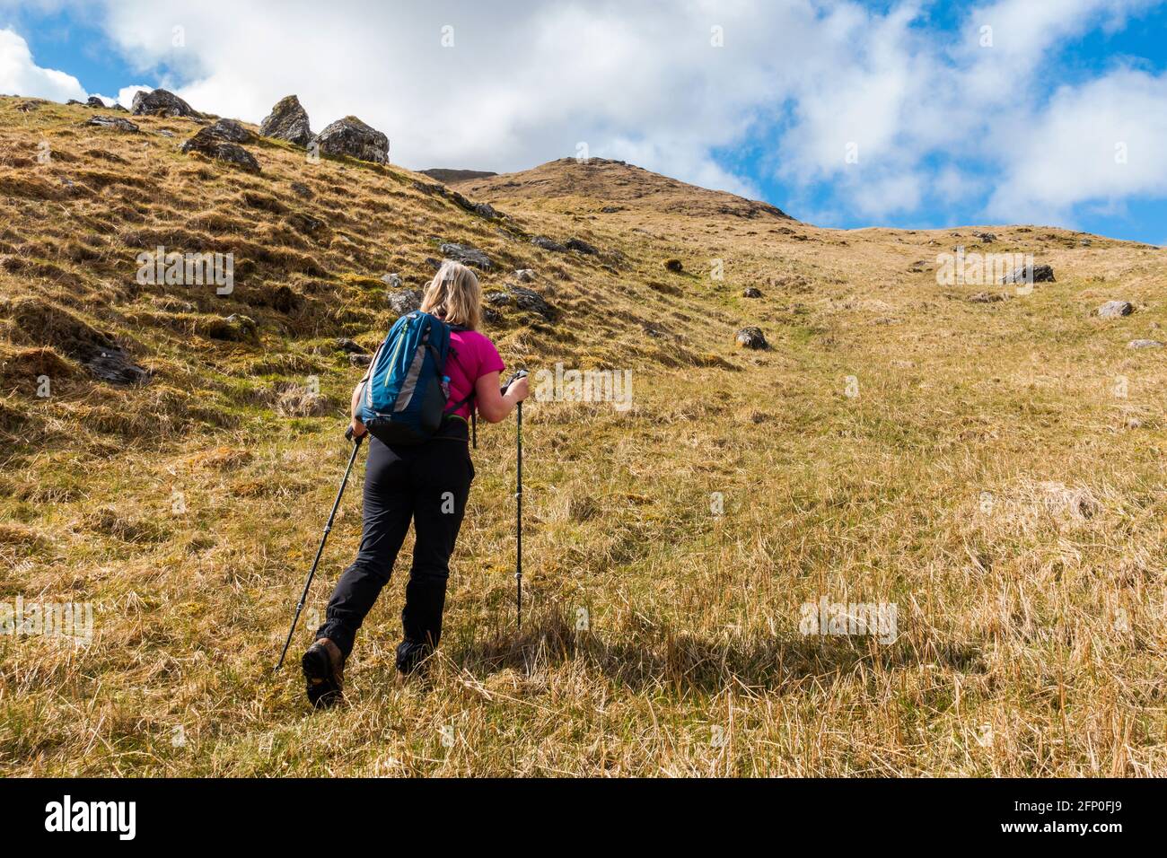 Un marcheur sur le chemin jusqu'à Sron Garbh, une colline sur le chemin jusqu'à Beinn a Chin et un Caivol près de Crianlarich, Écosse Banque D'Images