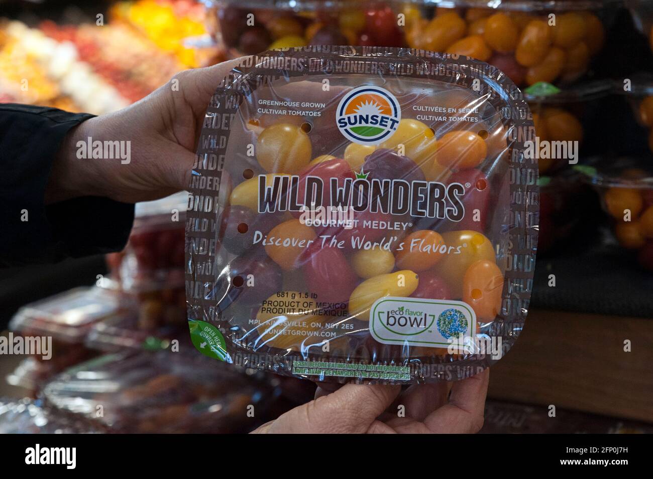 Main mature, femelle tenant un récipient en plastique de la variété Wild Wonders Tomatoes, montrant l'étiquette avec la description du produit, Williamsburg, NYC, US Banque D'Images