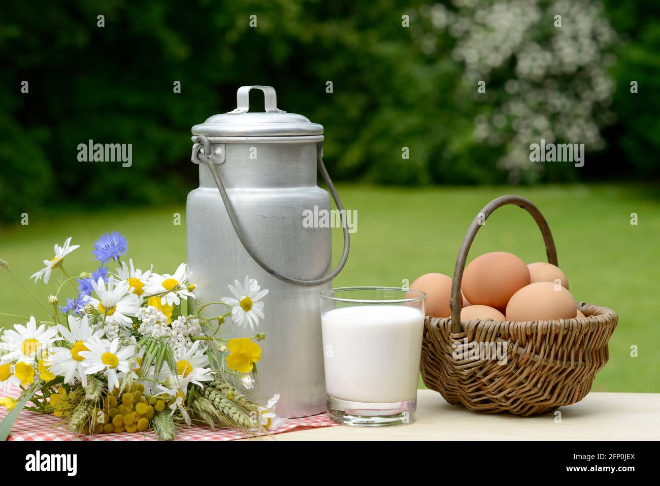 Lait, oeufs dans le panier sur la table dans la nature Banque D'Images