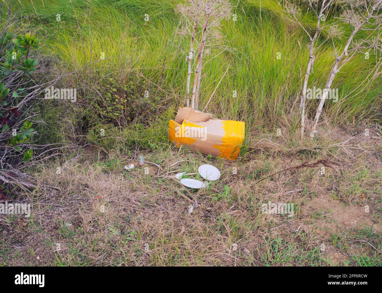 déchets dans le champ Banque D'Images