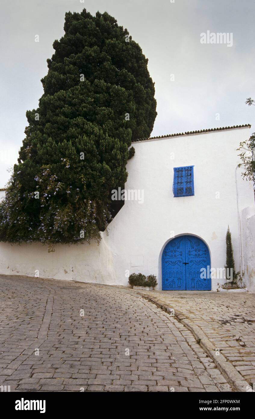 Maison blanchie à la chaux et arbre le long d'une rue pavée - Sidi Bou Said, Tunisie Banque D'Images
