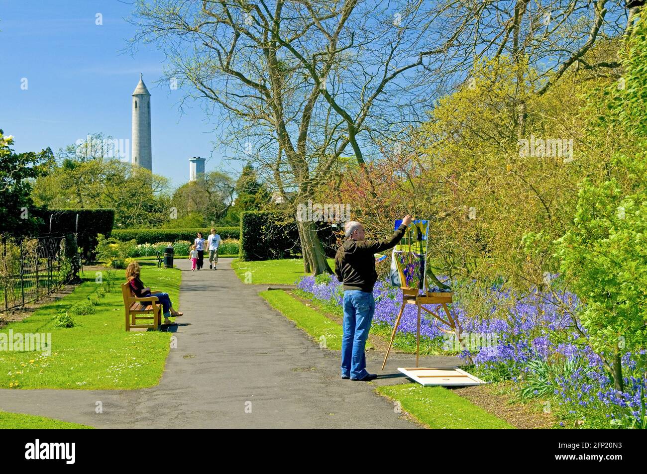 Un artiste peint une profusion de jacinthes au National Botanic Gardens, Glasnevin, Dublin, Irlande, au début de mai Banque D'Images