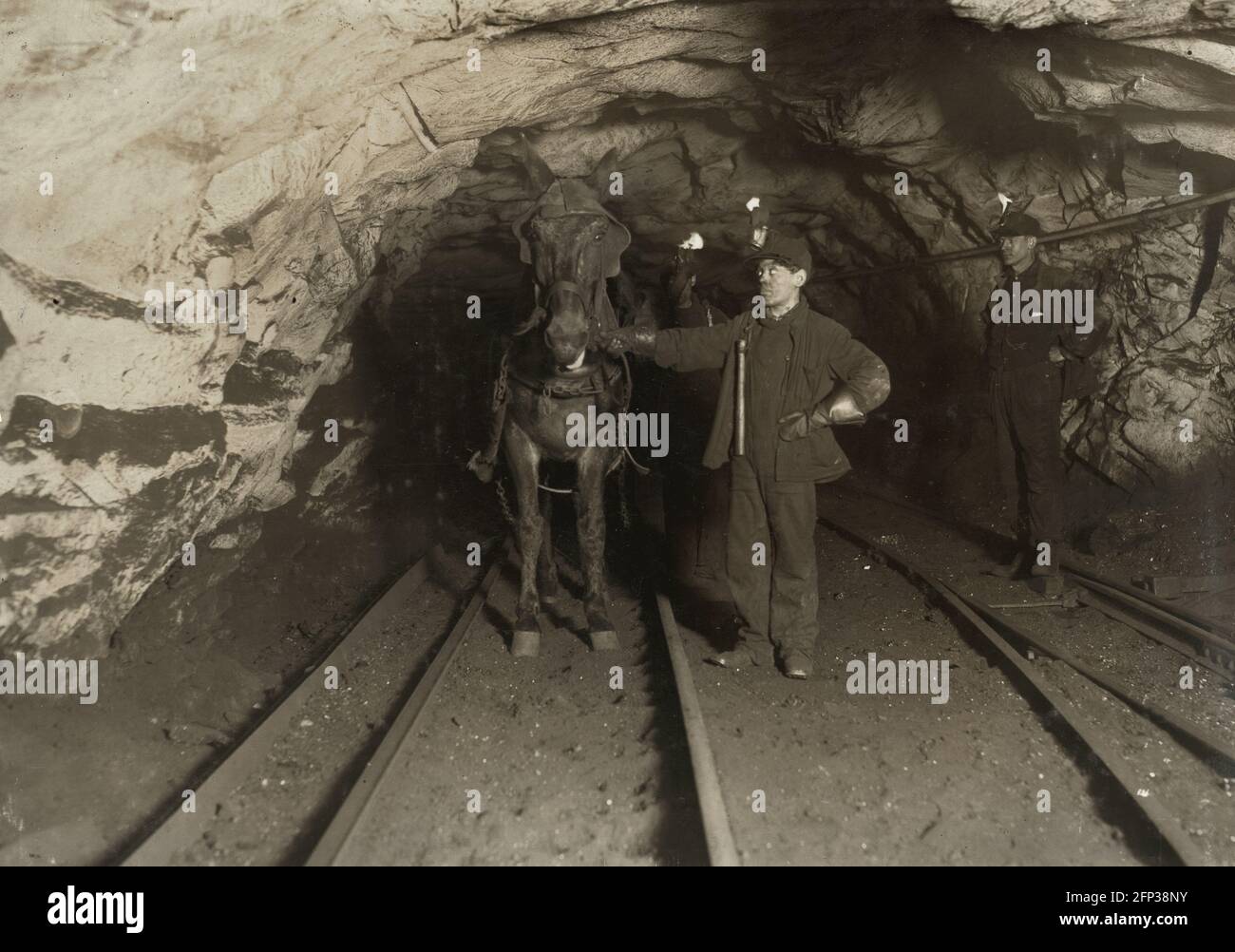 Le travail des enfants : leader et conducteur et leur mule dans une mine de Pittston, Pennsylvanie Banque D'Images