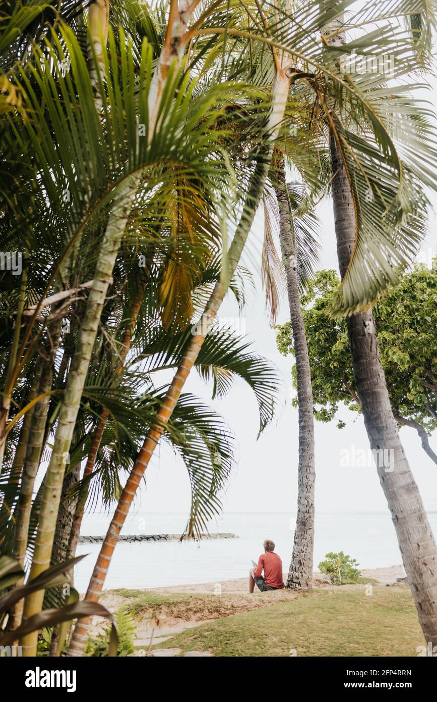 L'homme s'assoit contre le palmier et le téléphone regarde l'eau À Waikiki Banque D'Images