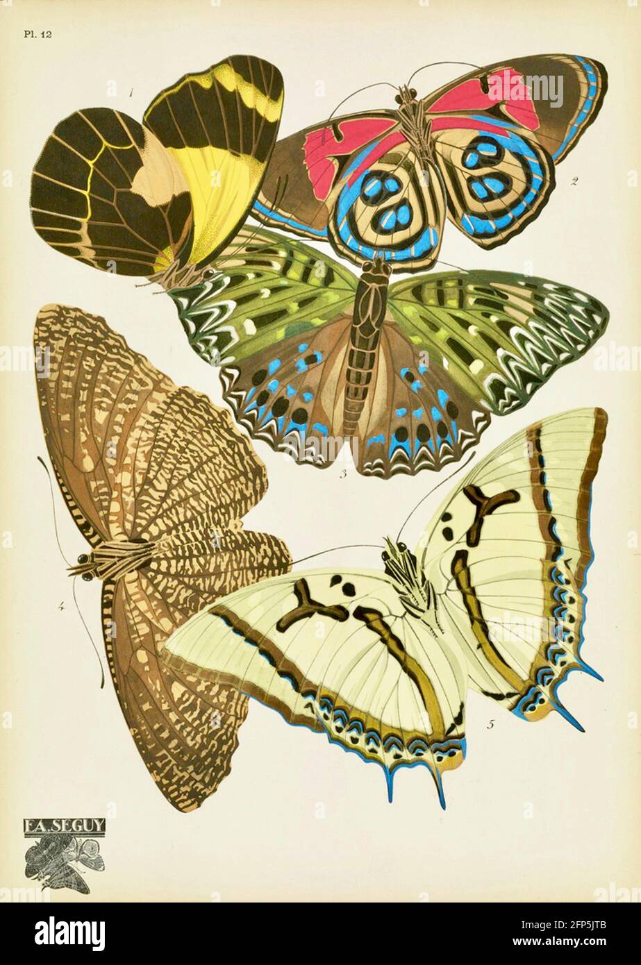 Emile Allain Séguy œuvre décorative de papillons des années 1920. Banque D'Images