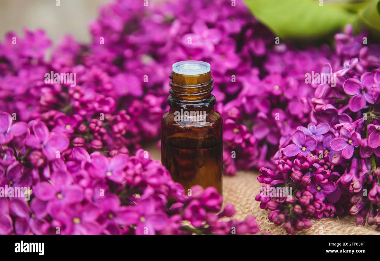 Huile essentielle de lilas dans une petite bouteille. Mise au point  sélective. Nature Photo Stock - Alamy