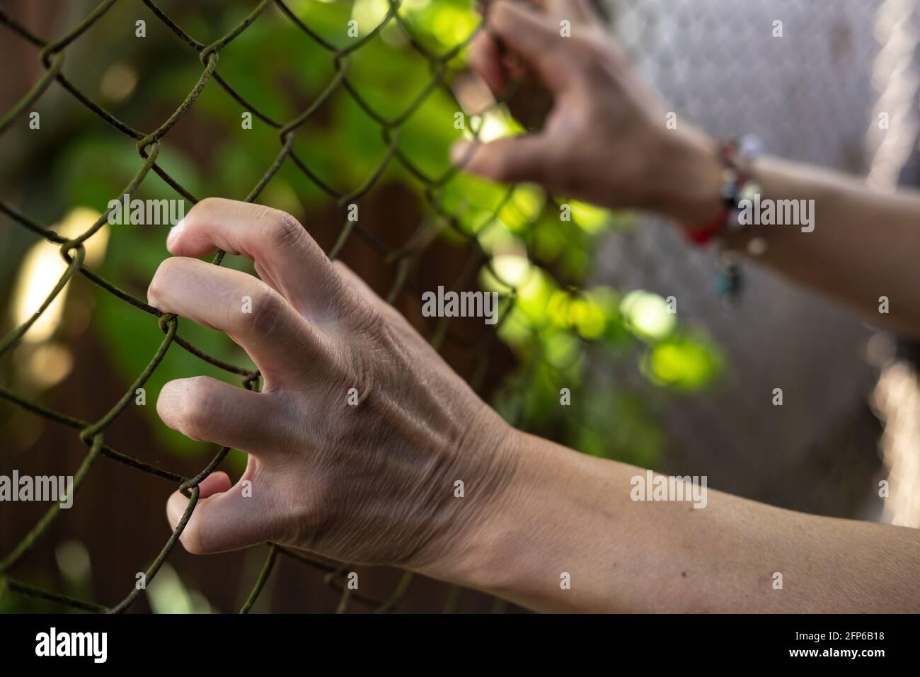 Les mains des femmes tensément et anxieusement se tiennent sur le maillage métallique de la clôture. Concept de stress et de liberté. Gros plan. Banque D'Images
