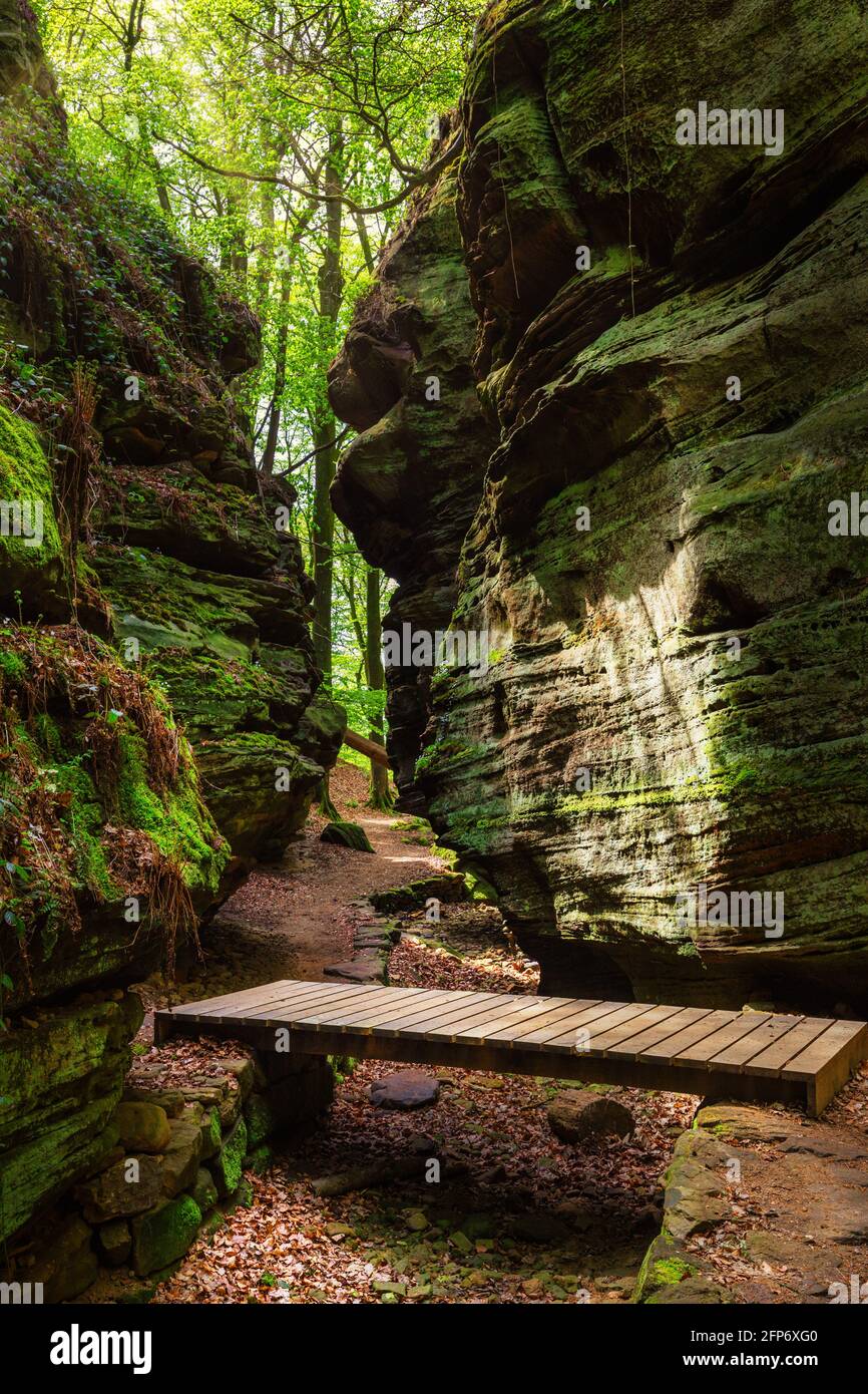 Magnifique sentier de randonnée mullerthal à Berdorf, Luxembourg, Europe Banque D'Images
