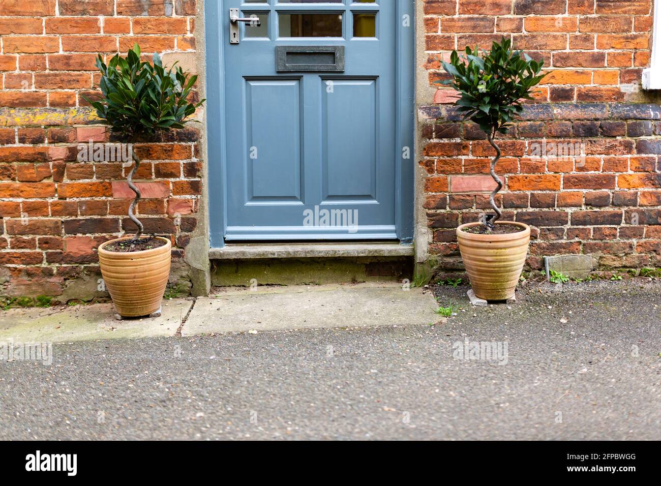 Gros plan d'une porte en bois bleu sur une maison de ville avec 2 plantes en pot de chaque côté. Maison, premier acheteur de minuterie, nouveau concept de maison Banque D'Images