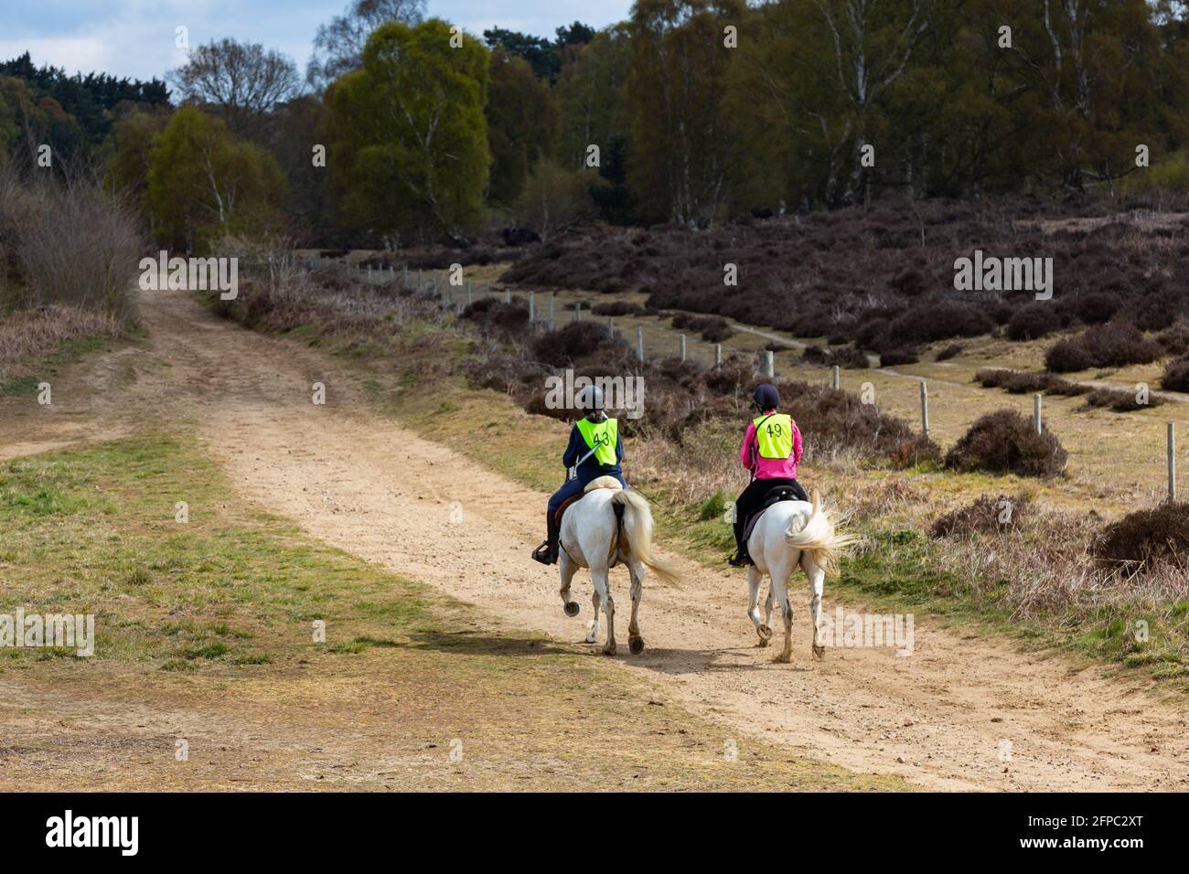 Woodbridge, Suffolk, Royaume-Uni Mai 01 2021: Un cheval de fond course de temps Banque D'Images