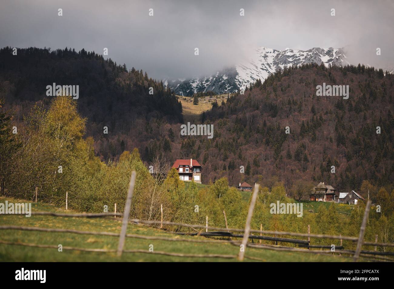Piatra CRAiului montagnes et forêt en Roumanie. Banque D'Images