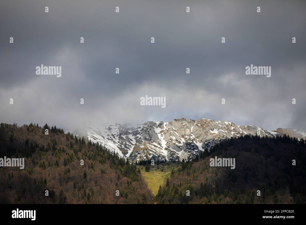 Piatra CRAiului montagnes et forêt en Roumanie. Banque D'Images