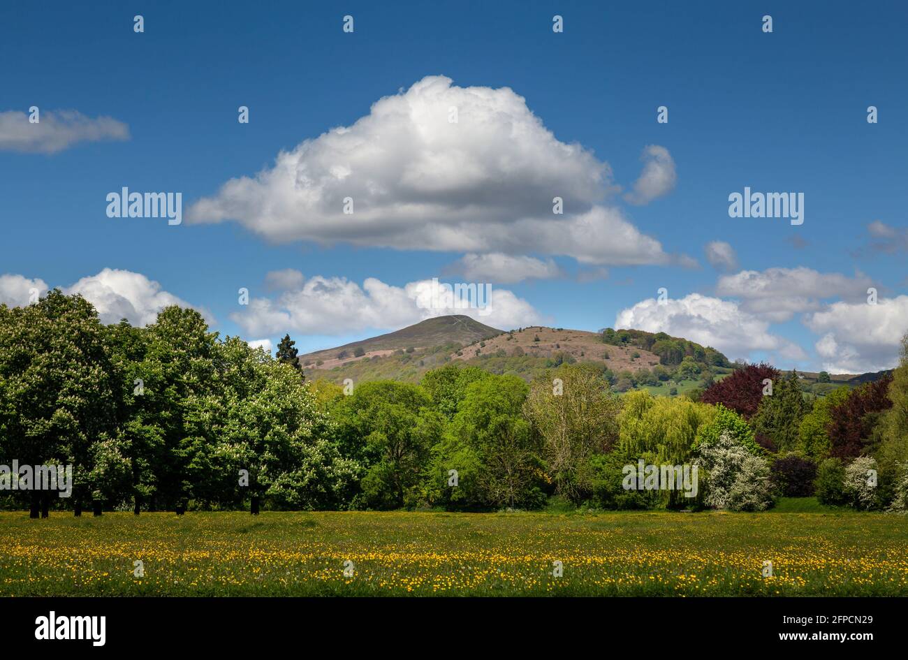 Vue sur la montagne de Skirrid à Abergavenny depuis le parc de Castle Meadows. Banque D'Images