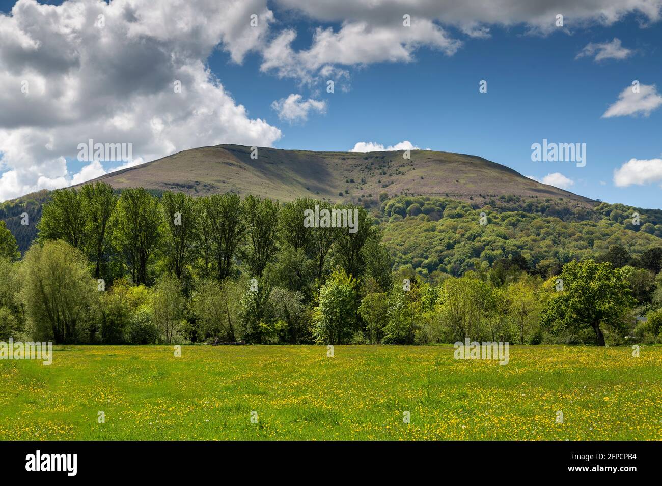 La montagne de Blorenge surplombant Castle Meadows et la rivière Usk près d'Abergavenny, Monbucshire, pays de Galles du Sud, Royaume-Uni Banque D'Images