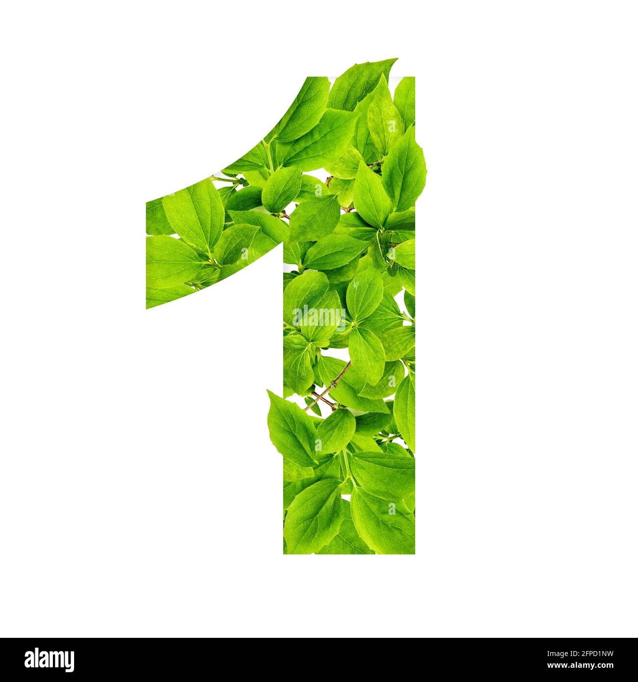 Numéro un des feuilles vertes. Concept de printemps créatif Banque D'Images