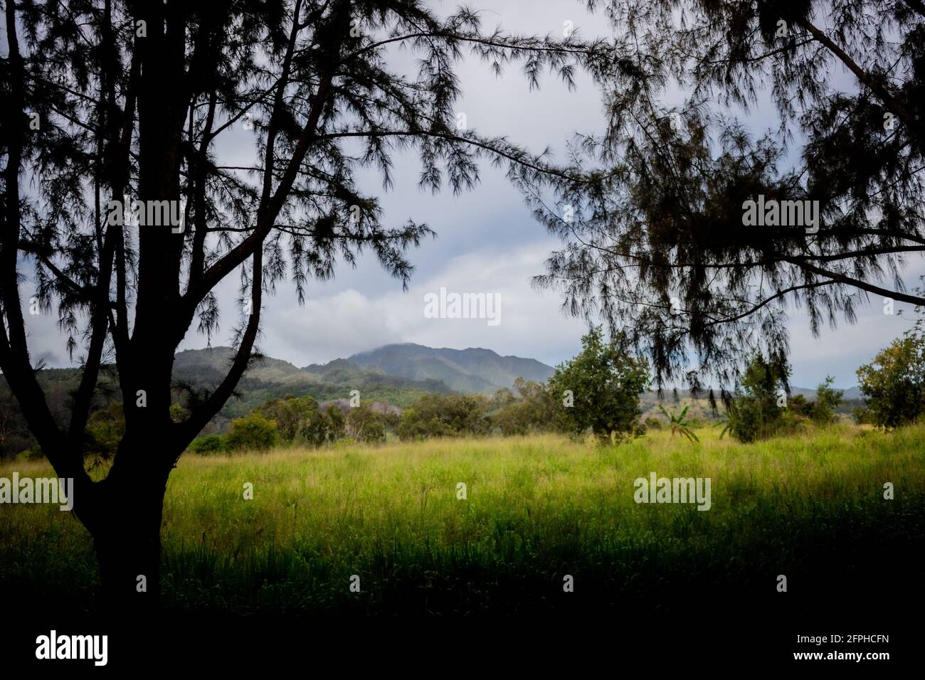 Prenez une gander et vous réaliserez la beauté avec laquelle nous sommes entourés, Oahu Hawaii Banque D'Images